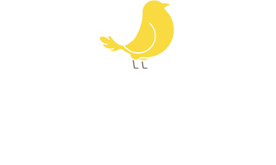 FCN Actu